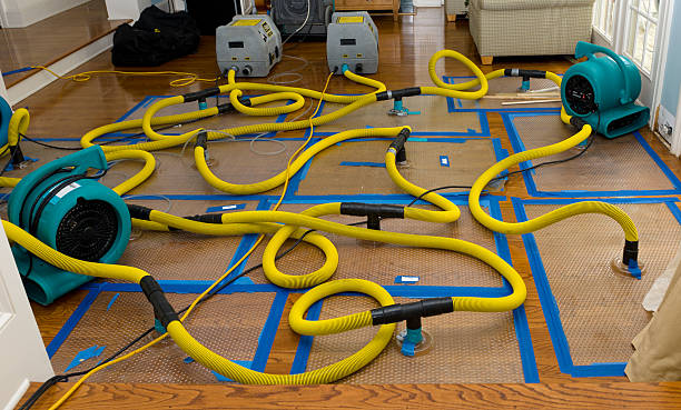 Professional Sewage Cleanup technician working in Three Rivers, CA